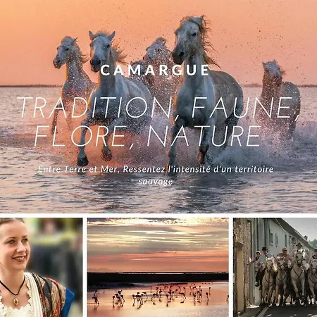 شقة Cap Sur Le Sud * Vue * Clim * Parking * Wifi * Couchant * *