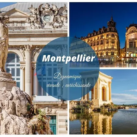 Cap Sur Le Sud * Vue * Clim * Parking * Wifi * Couchant * * La Grande-Motte